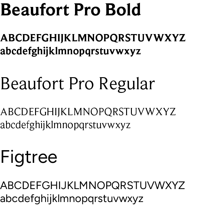 Sylf Studio typography